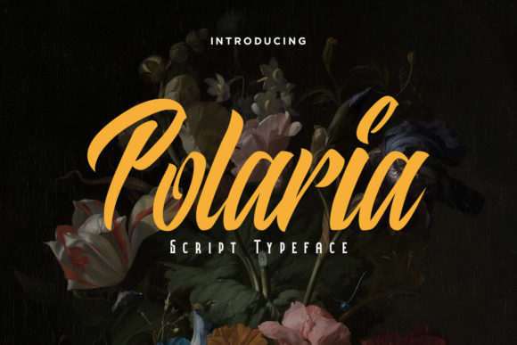 How Polaria Transformed My Campaign Visuals