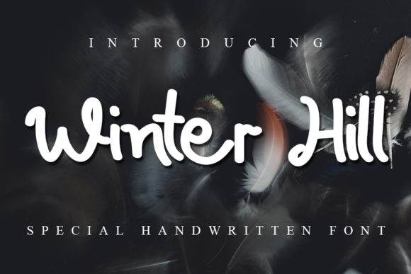 Winter Hill Font for Eye-Catching Digital Campaigns